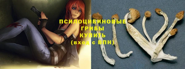 герыч Михайловск