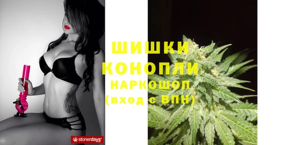 мдпв Михайлов