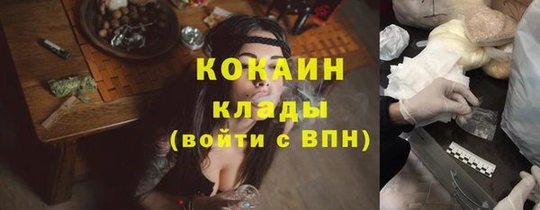 мдпв Михайлов