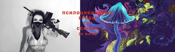 таблы Богданович