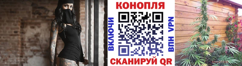 где купить наркоту  Тутаев  даркнет официальный сайт  Бошки Шишки Ganja  hydra зеркало 